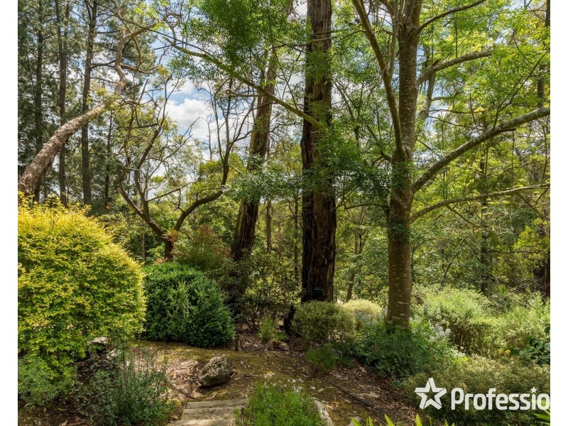 18 Sycamore Grove, Mount Evelyn VIC 3796