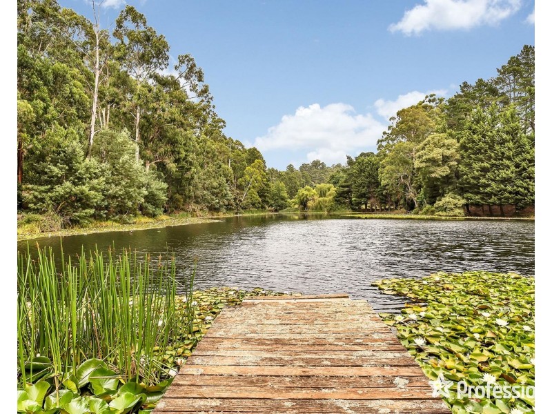 79 Wiseman Road, Silvan VIC 3795