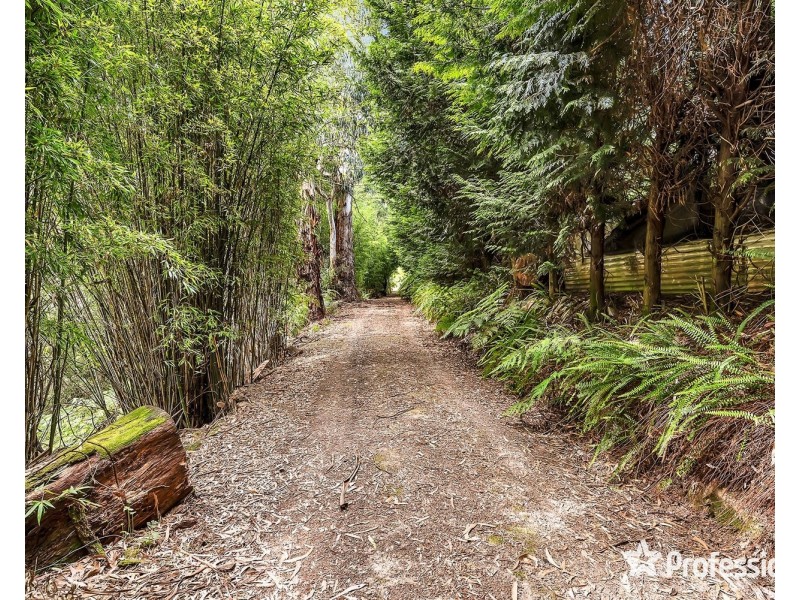 79 Wiseman Road, Silvan VIC 3795