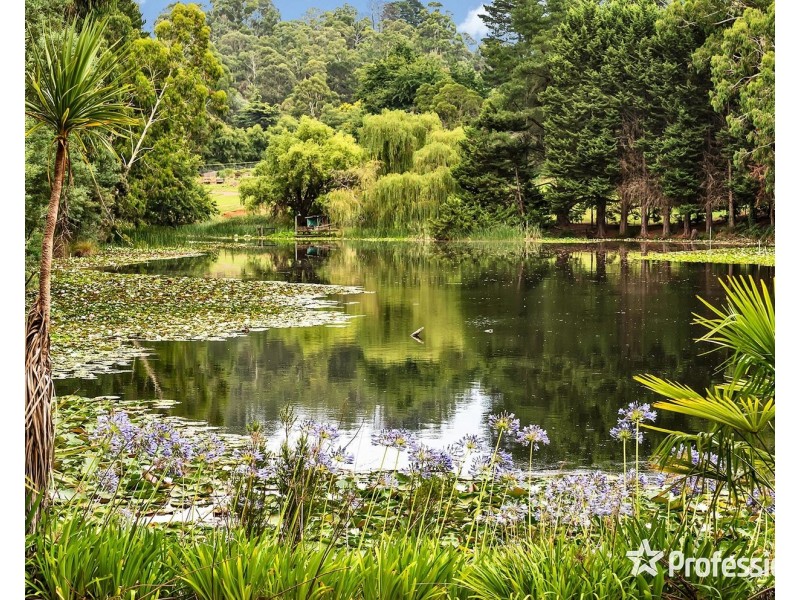 79 Wiseman Road, Silvan VIC 3795