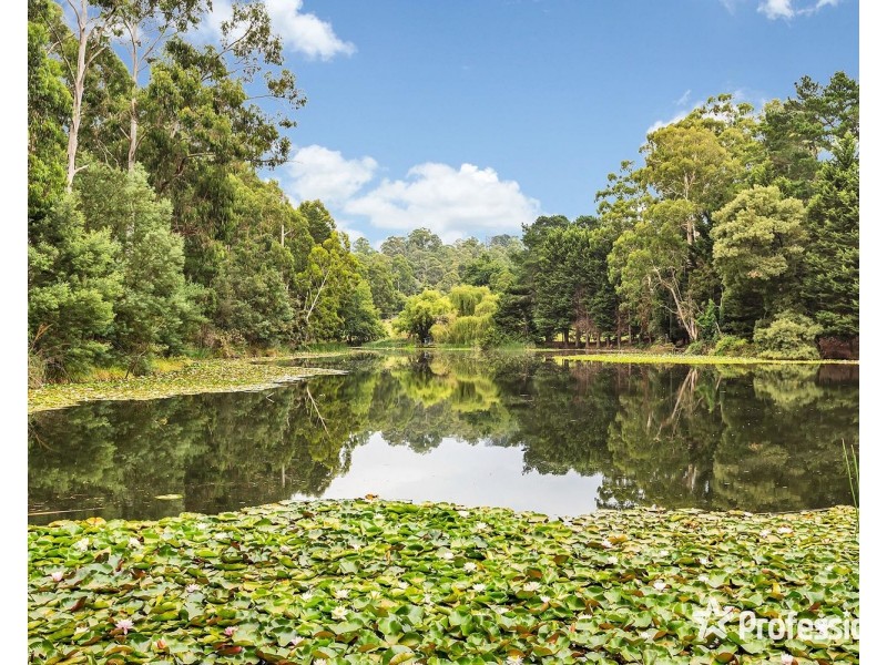 79 Wiseman Road, Silvan VIC 3795