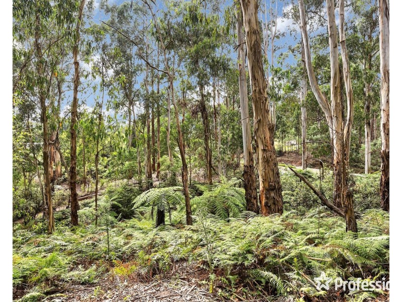 79 Wiseman Road, Silvan VIC 3795
