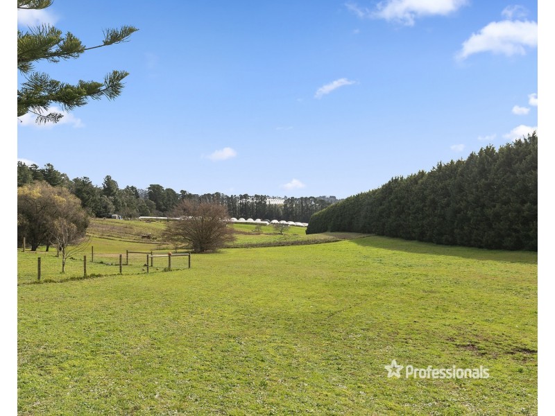 175 Graham Road, Wandin East VIC 3139