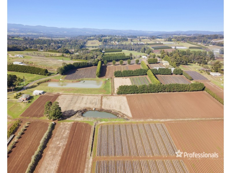 150 Wandin East Road, Wandin East VIC 3139