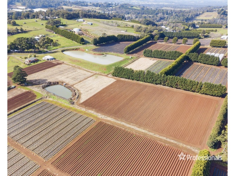 150 Wandin East Road, Wandin East VIC 3139