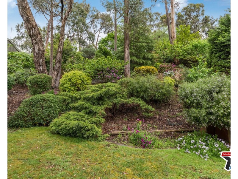 16 Sycamore Grove, Mount Evelyn VIC 3796