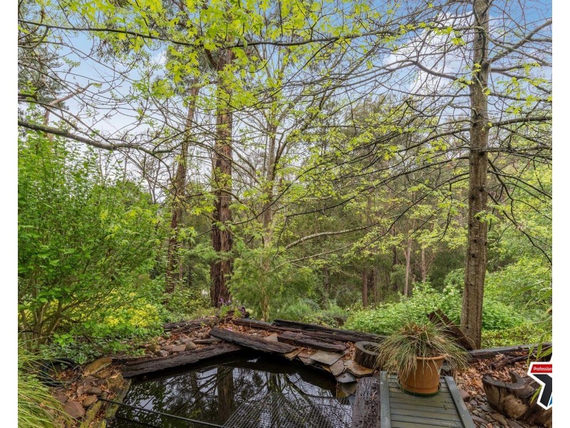 16 Sycamore Grove, Mount Evelyn VIC 3796