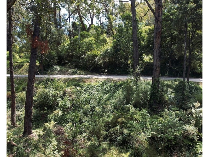 19 Joy Avenue, Mount Evelyn VIC 3796