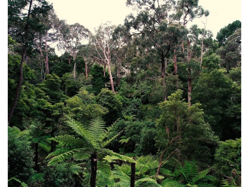 19 Joy Avenue, Mount Evelyn VIC 3796