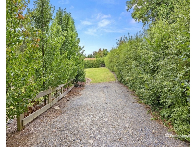 25 Zealandia Road East, Croydon North VIC 3136