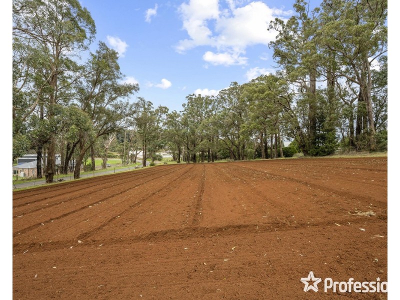 15 Wiseman Road, Monbulk VIC 3793