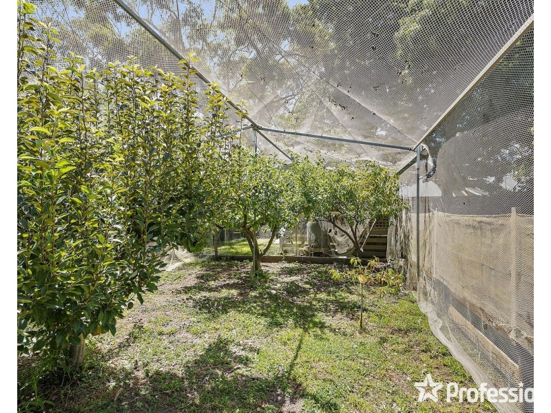 11 Alfred Street, Wandin North VIC 3139