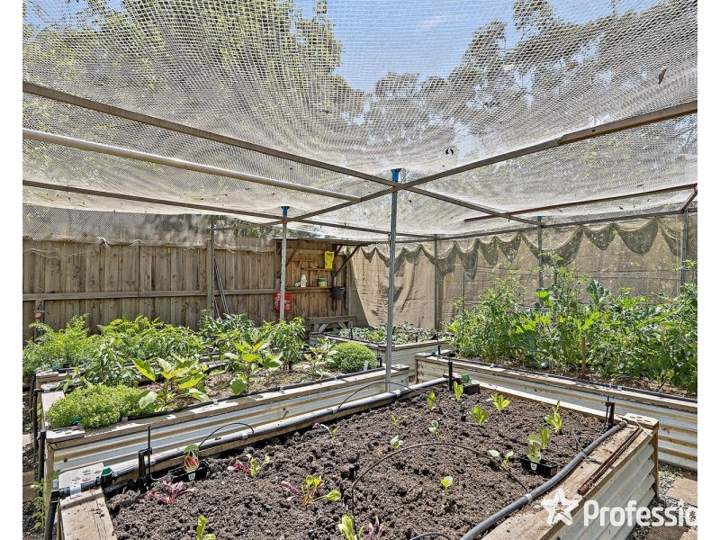 11 Alfred Street, Wandin North VIC 3139