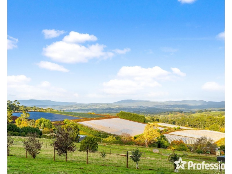 98a Monbulk-Seville Road, Silvan VIC 3795