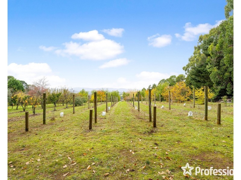 98a Monbulk-Seville Road, Silvan VIC 3795
