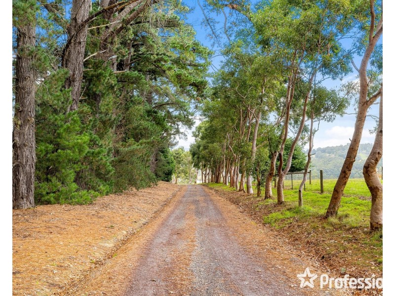 98a Monbulk-Seville Road, Silvan VIC 3795