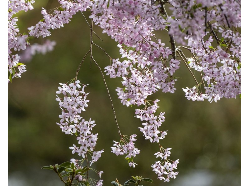 6 Fernhill Road, Mount Evelyn VIC 3796