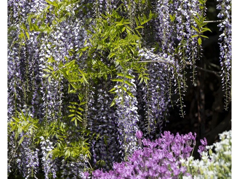 515 Beenak Road, Seville VIC 3139