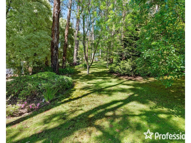 5 William Street, Kalorama VIC 3766