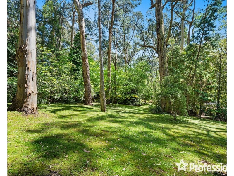 5 William Street, Kalorama VIC 3766