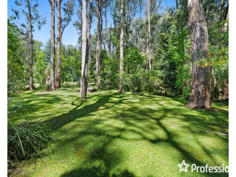 5 William Street, Kalorama VIC 3766