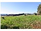 Wandin North VIC 3139