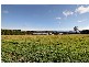 Wandin North VIC 3139