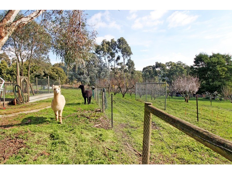 54 McKillop Road, Mount Evelyn VIC 3796