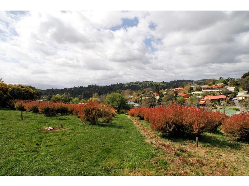 Seville VIC 3139