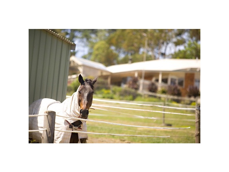 205 Victoria Road, Wandin North VIC 3139