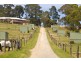 205 Victoria Road, Wandin North VIC 3139