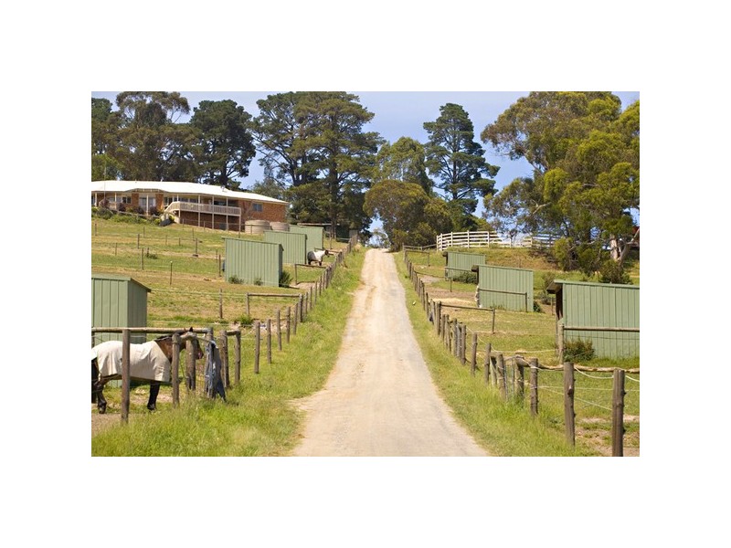 205 Victoria Road, Wandin North VIC 3139