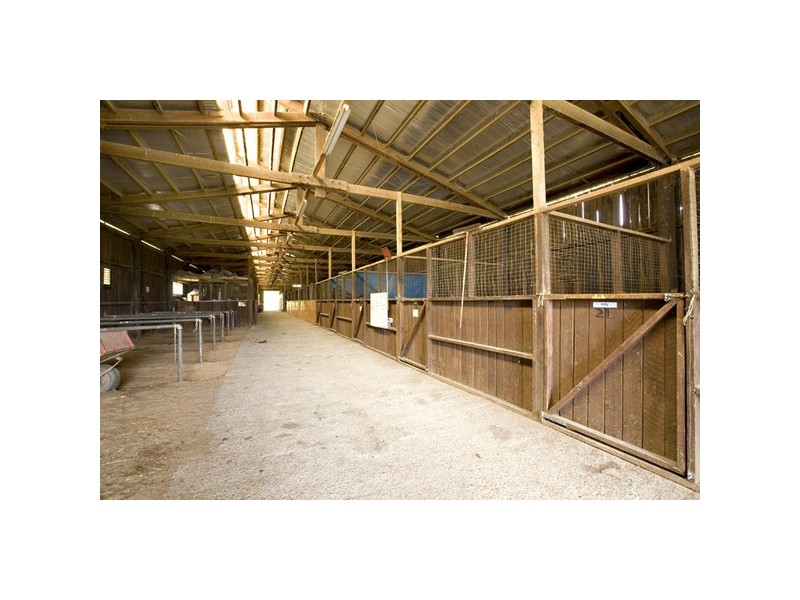 205 Victoria Road, Wandin North VIC 3139