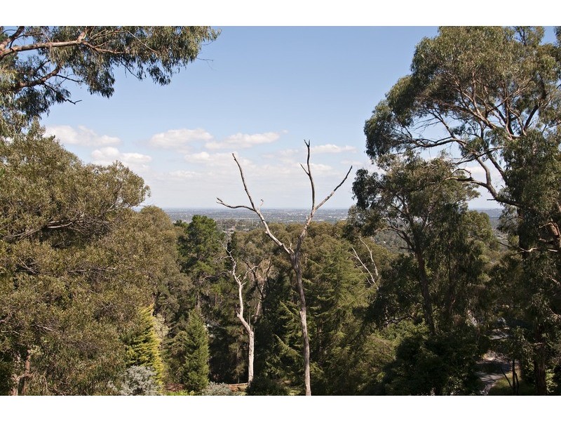 37 Harnett Street, Boronia VIC 3155