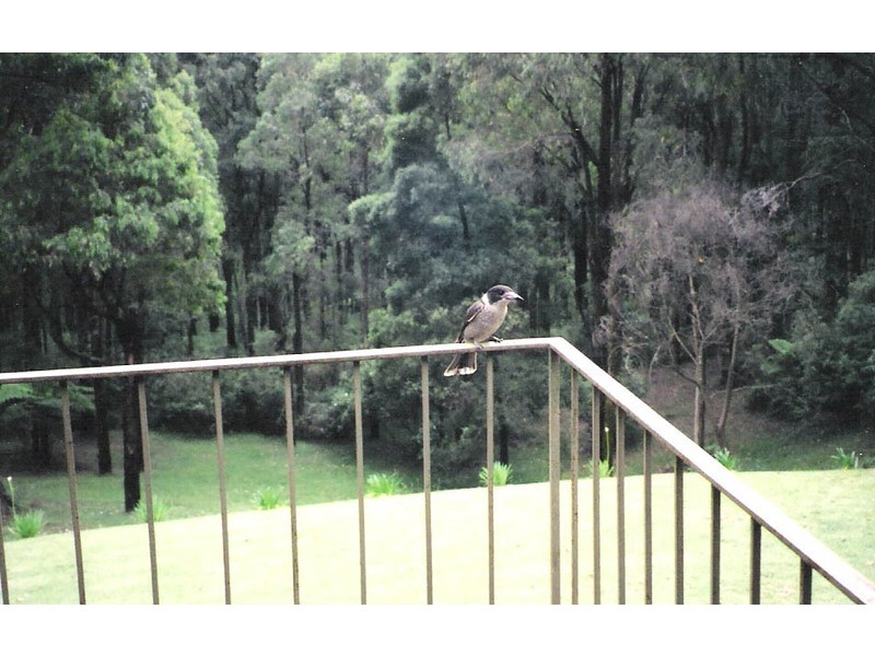 37 Childs Road, Kalorama VIC 3766