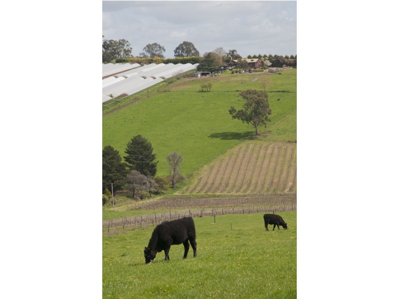 27 Hunter Road, Mount Evelyn VIC 3796