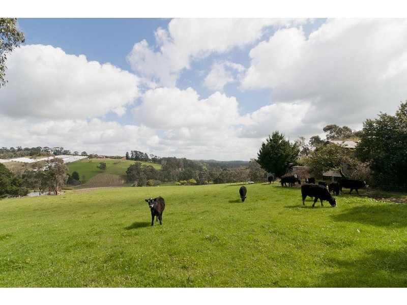 27 Hunter Road, Mount Evelyn VIC 3796