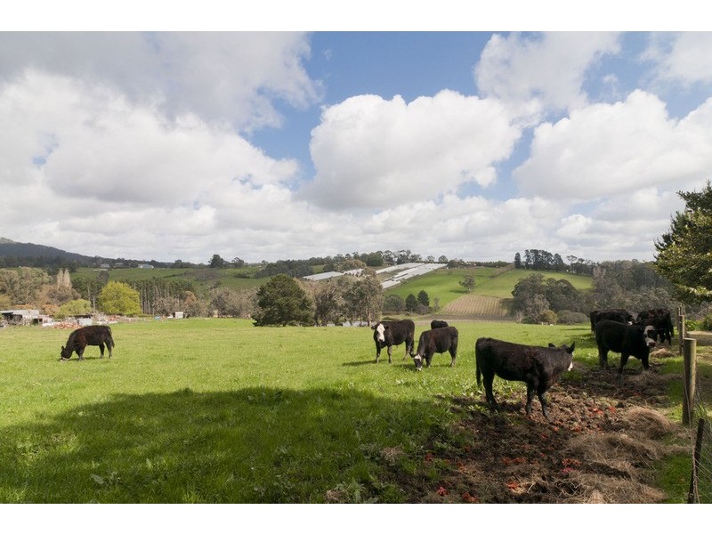 27 Hunter Road, Mount Evelyn VIC 3796