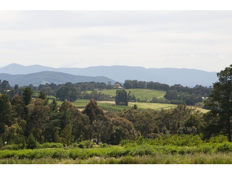 50-60 Chapman Road, Silvan VIC 3795
