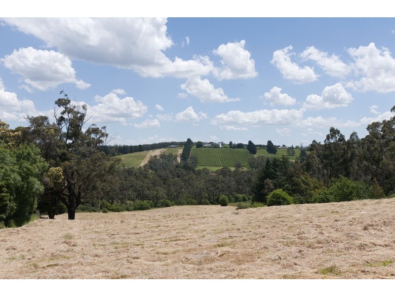 43 Monbulk-seville Road, Seville VIC 3139