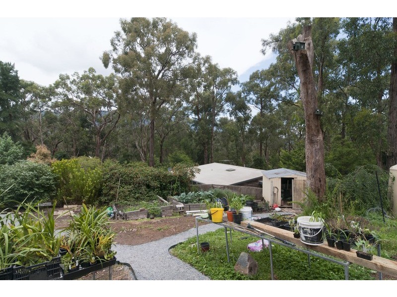 1/49 Falkingham Road, Mount Evelyn VIC 3796