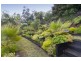 18 Tainton Street, Wandin North VIC 3139