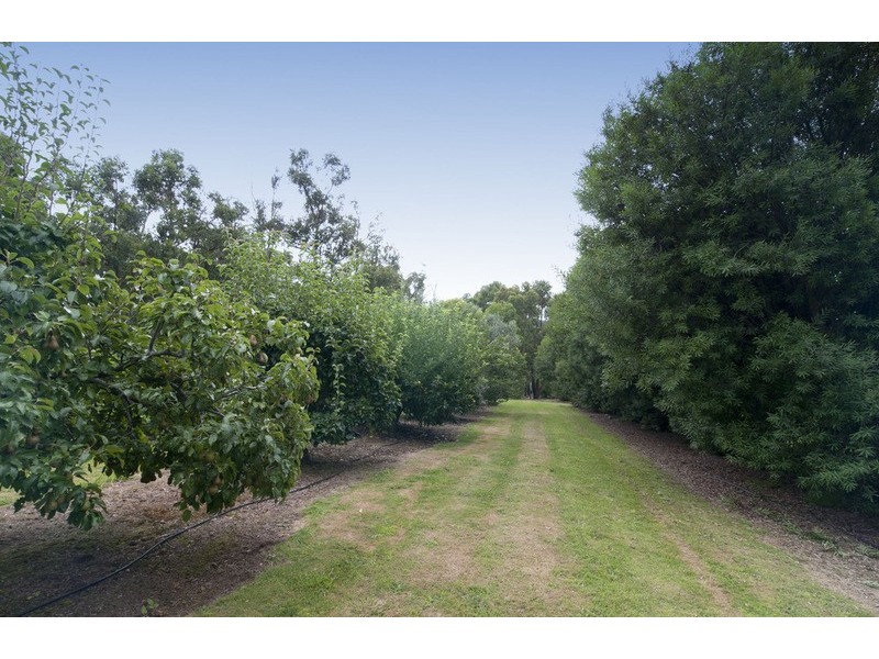 70 Connors Flat Road, Wandin North VIC 3139