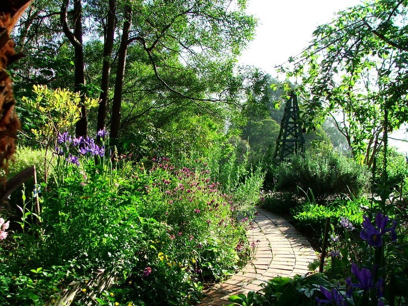 59 Barbers Road, Kalorama VIC 3766