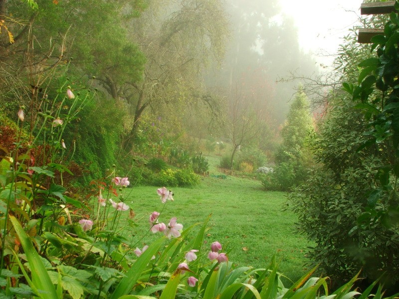 59 Barbers Road, Kalorama VIC 3766