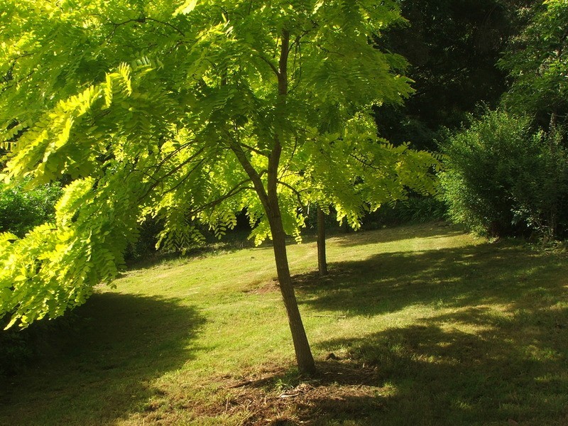 59 Barbers Road, Kalorama VIC 3766