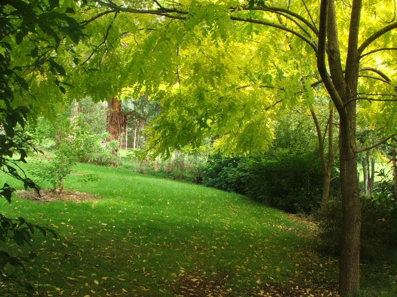 59 Barbers Road, Kalorama VIC 3766