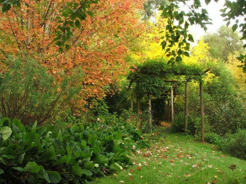 59 Barbers Road, Kalorama VIC 3766