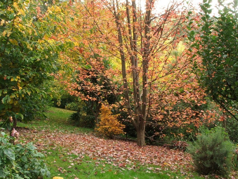 59 Barbers Road, Kalorama VIC 3766