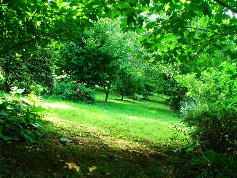 59 Barbers Road, Kalorama VIC 3766